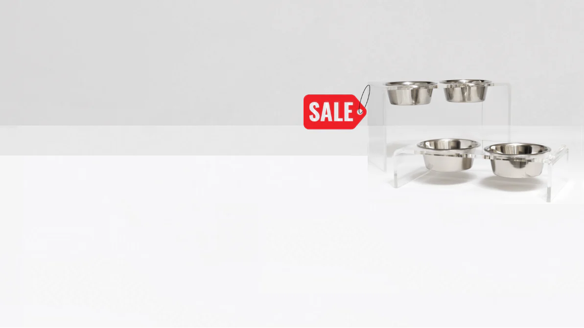 Modern Clarity for Stylish Pets