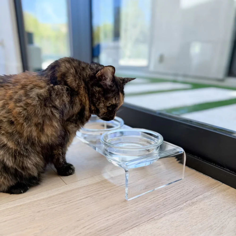 Small Glass Bowl Feeder - Image 10