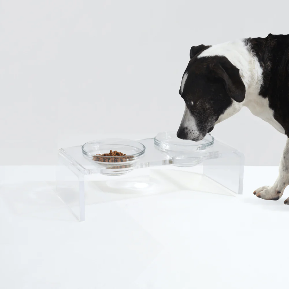 Small Glass Bowl Feeder - Image 14