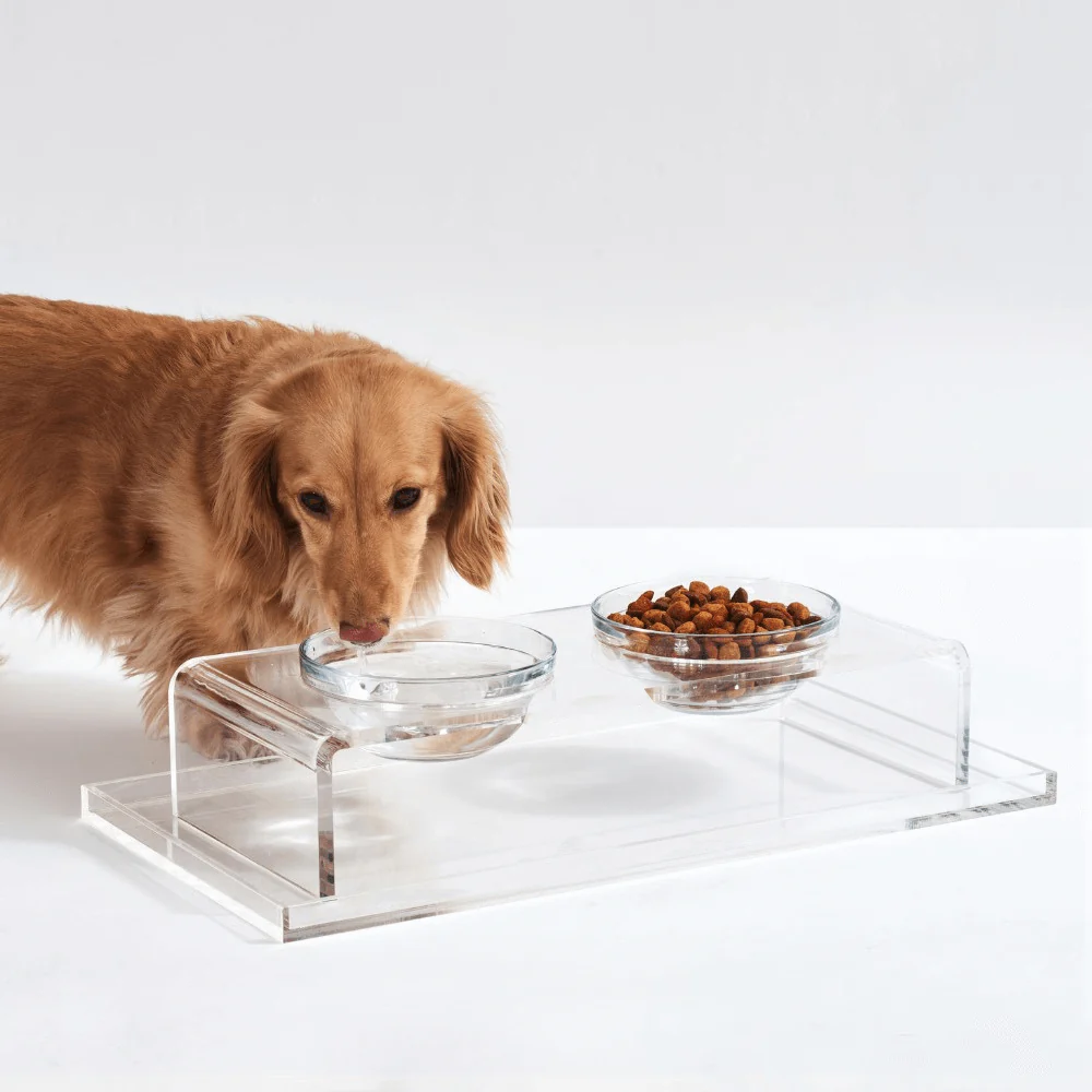 Small Glass Bowl Feeder - Image 5