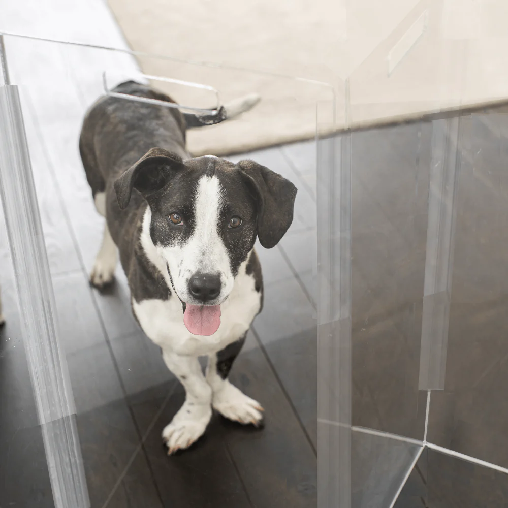 Tall Zig Zag Gate - Image 28