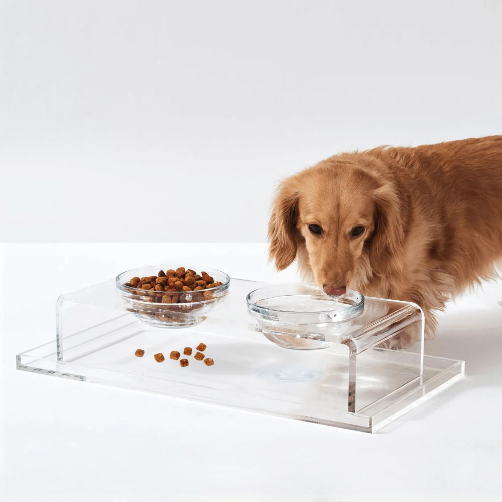 Clear Overflow Feeder Tray - Image 3