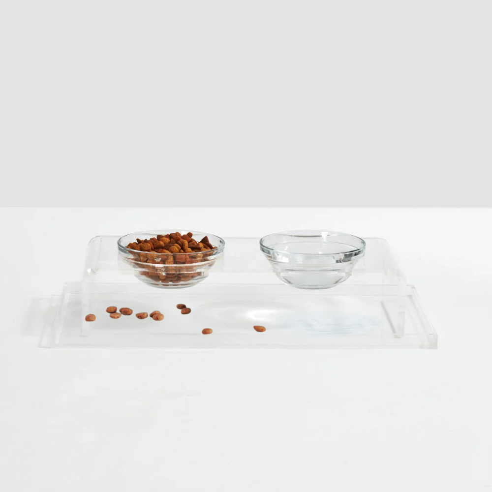 Clear Overflow Feeder Tray - Image 5