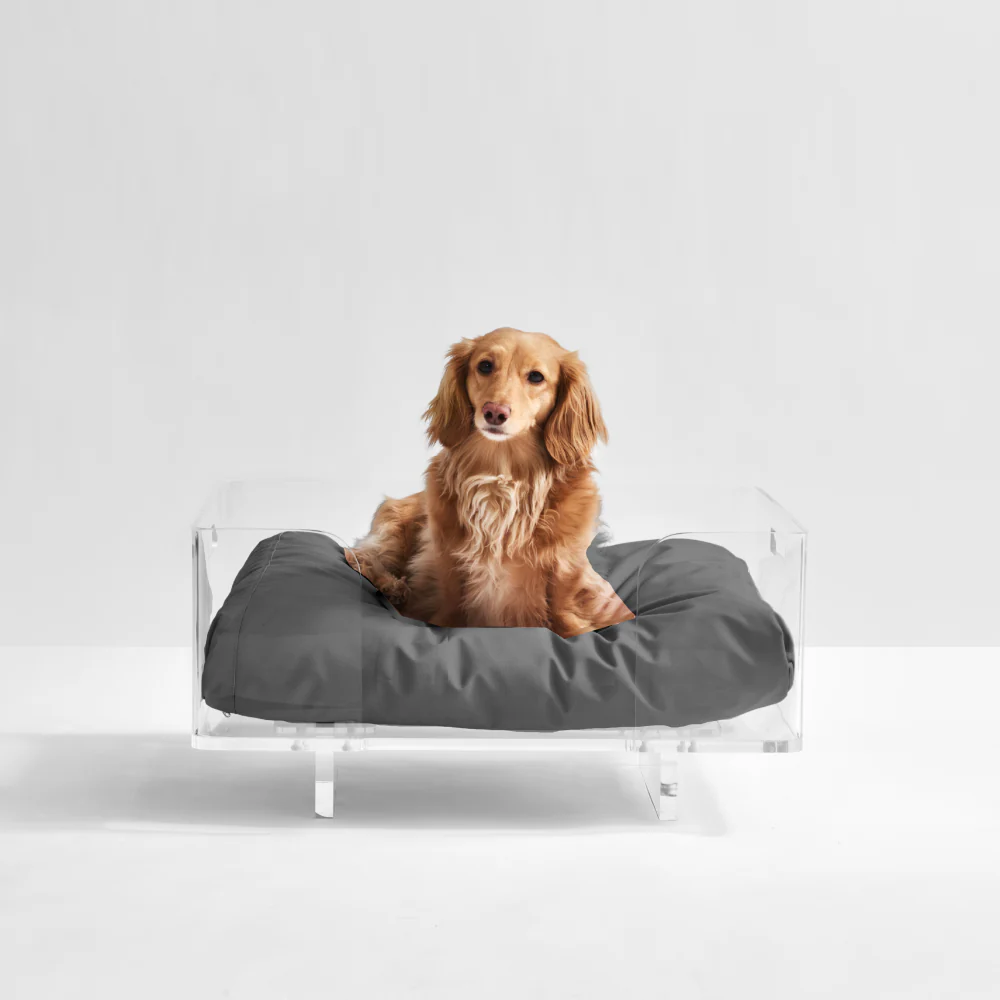 Clear Rectangular Lucite Dog Bed - Image 10