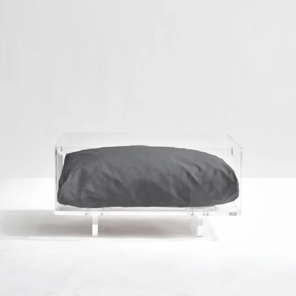 Clear Rectangular Lucite Dog Bed - Image 14