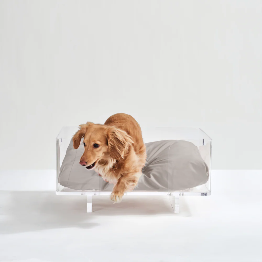 Clear Rectangular Lucite Dog Bed - Image 15