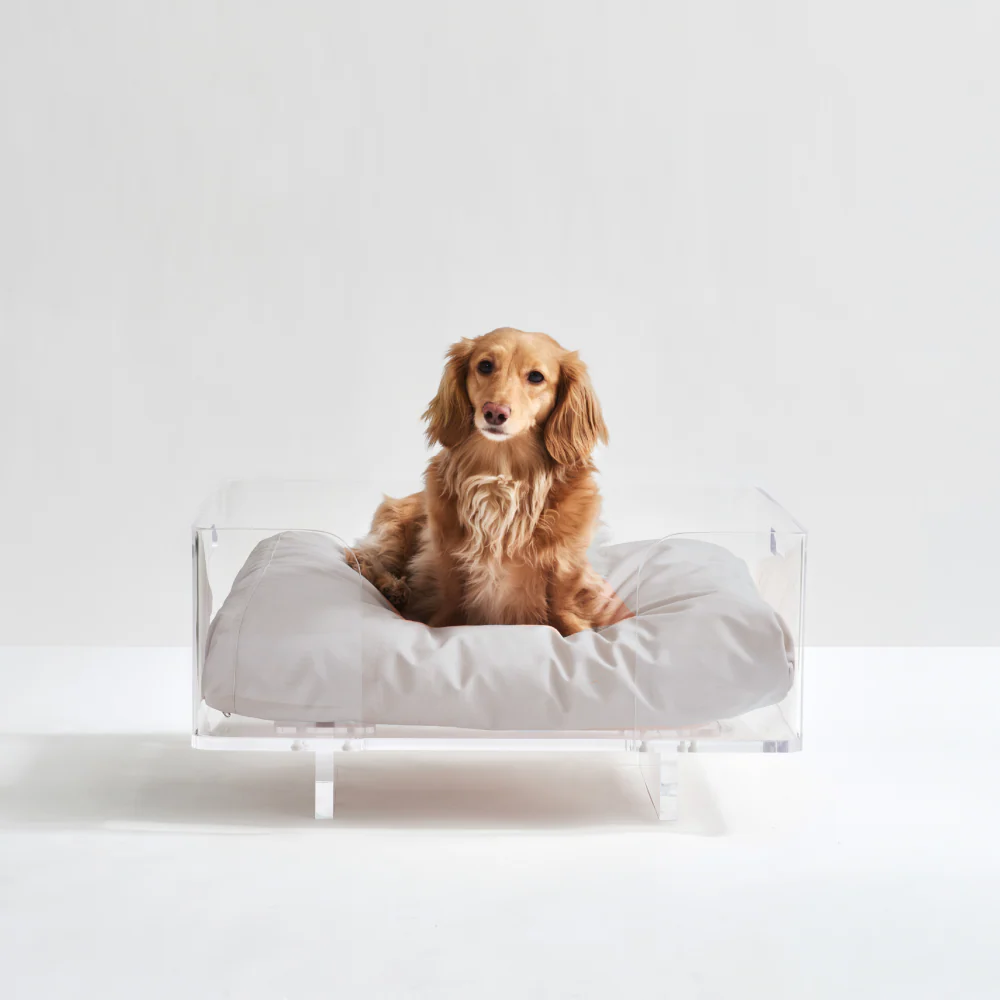 Clear Rectangular Lucite Dog Bed - Image 19