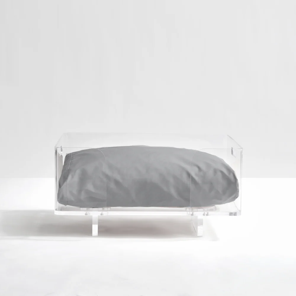 Clear Rectangular Lucite Dog Bed - Image 21