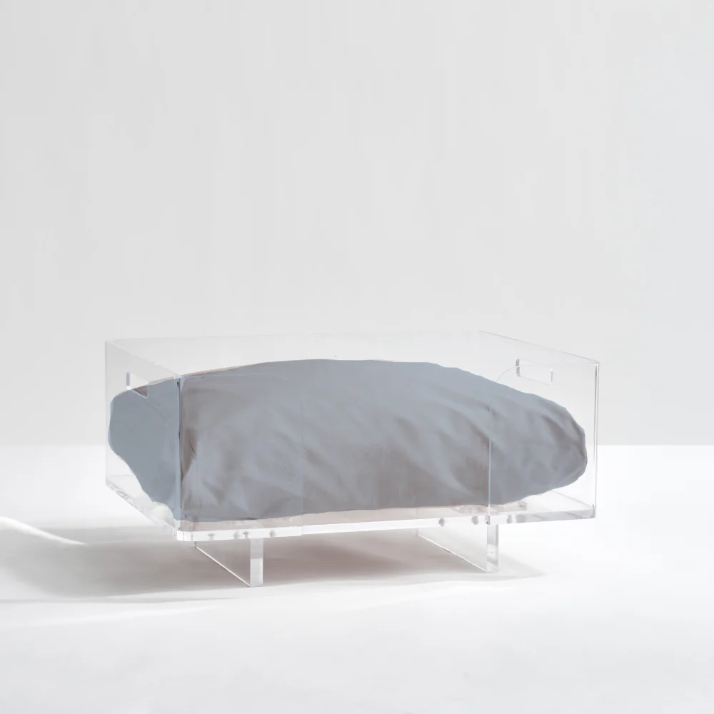 Clear Rectangular Lucite Dog Bed - Image 24