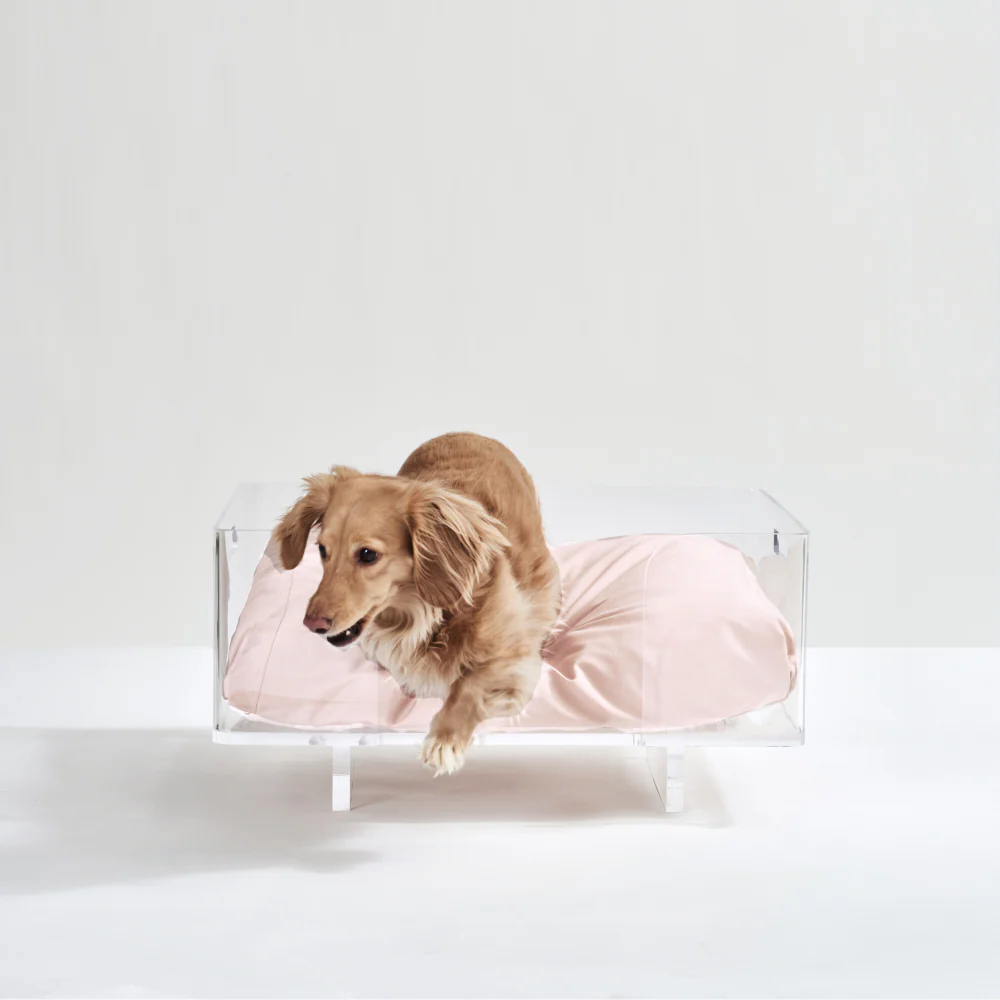 Clear Rectangular Lucite Dog Bed - Image 4