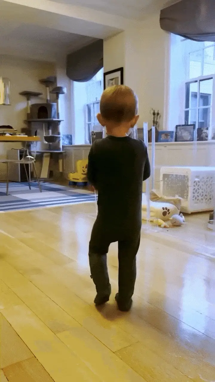 Clear Pet Playpen, 32" High with Door - Image 4