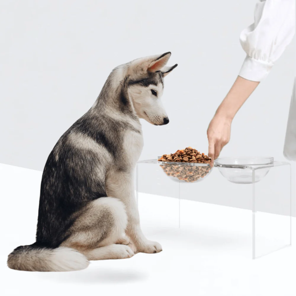 Tall Glass Bowl Feeder - Image 6