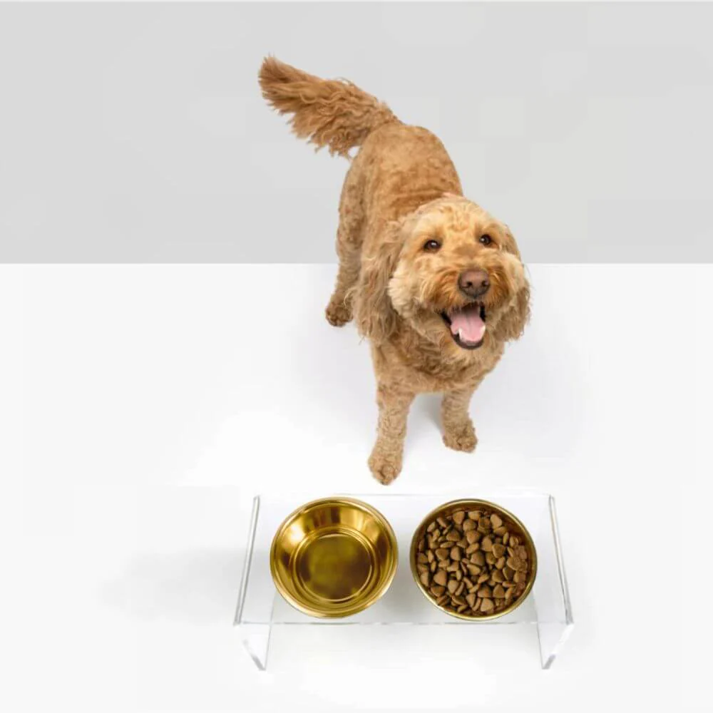 Medium Gold Feeder - Image 9