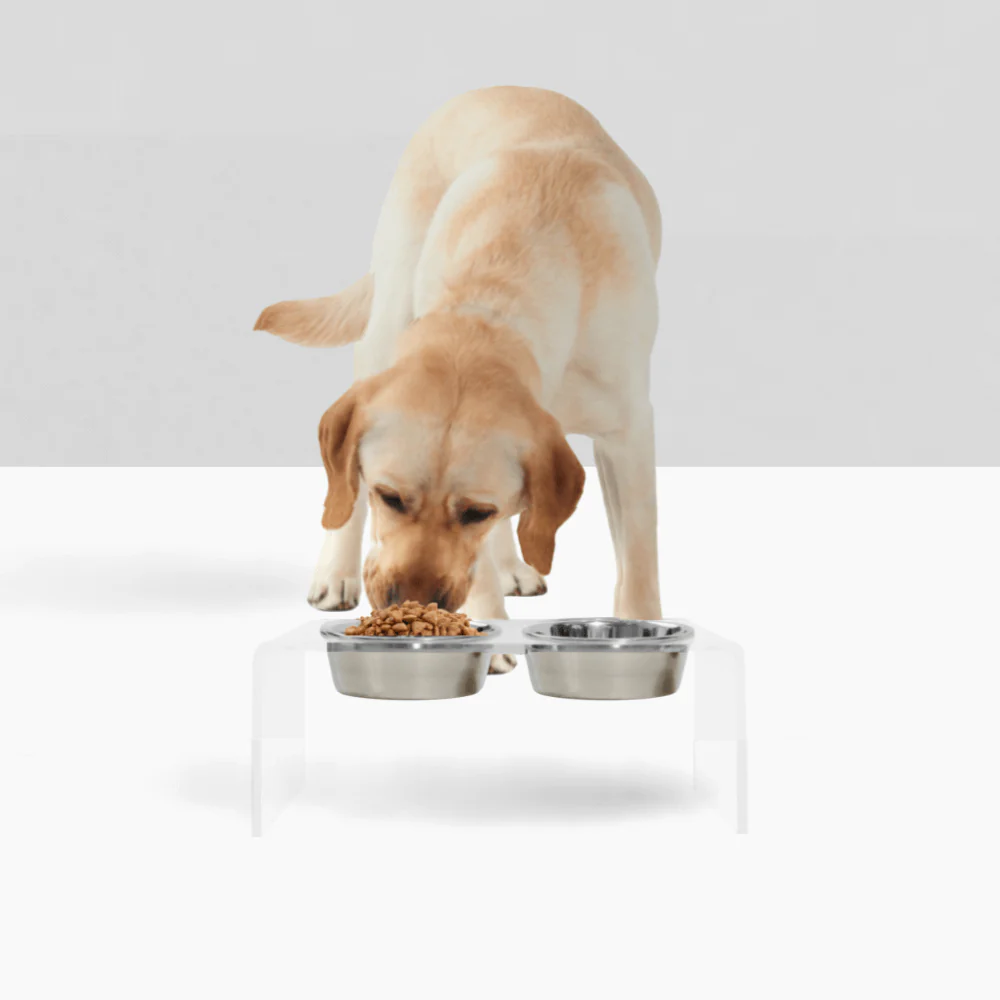 Medium Silver Feeder - Image 11