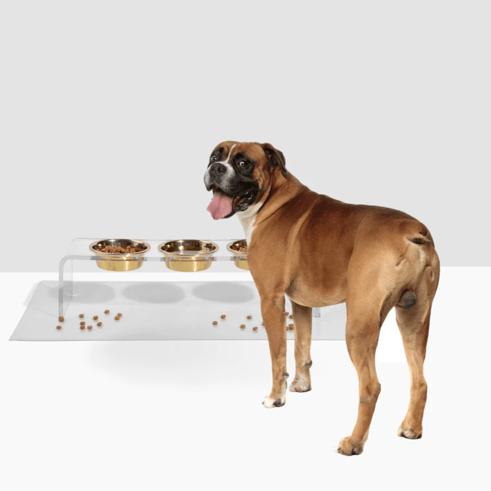 Medium Triple Gold Feeder - Image 12