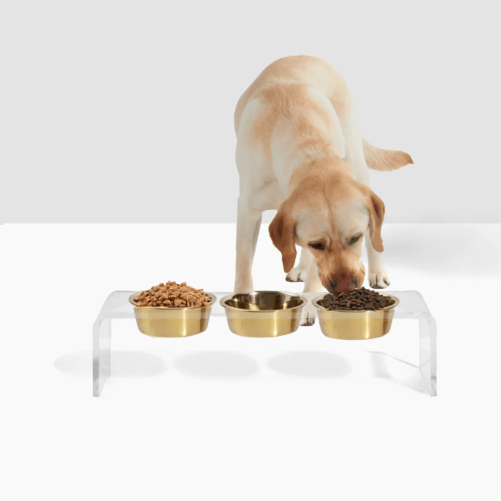 Medium Triple Gold Feeder - Image 9