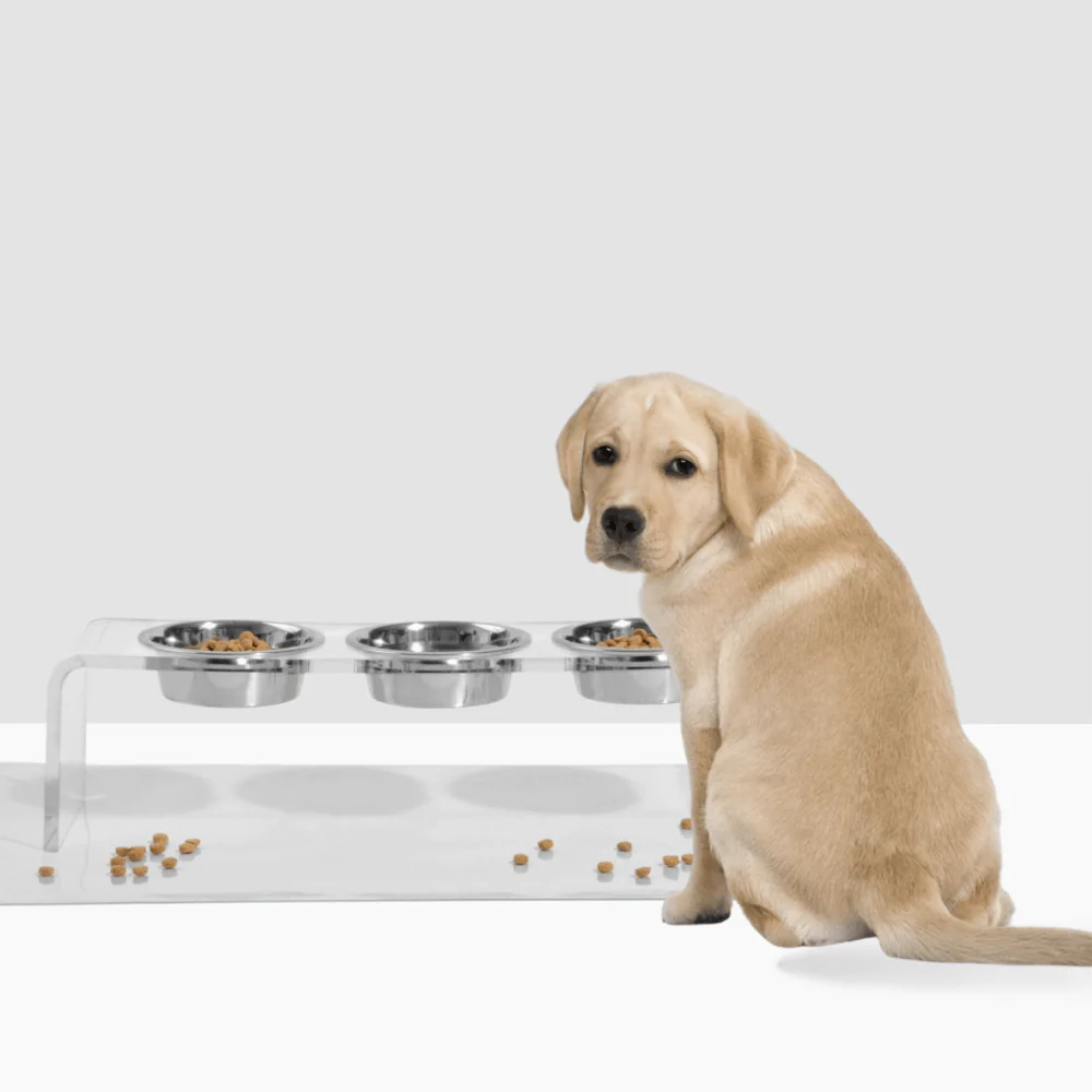 Medium Triple Silver Feeder - Image 5