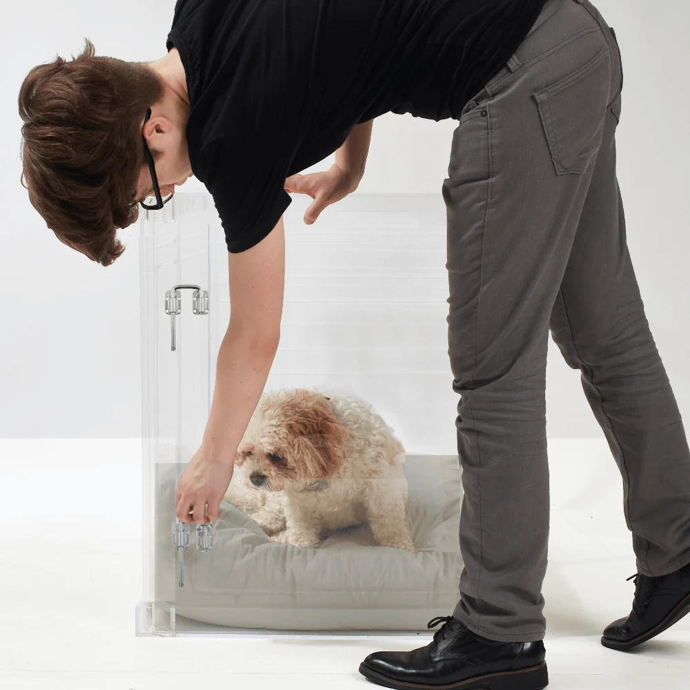 Medium Crate (Silver Latch) - Image 18