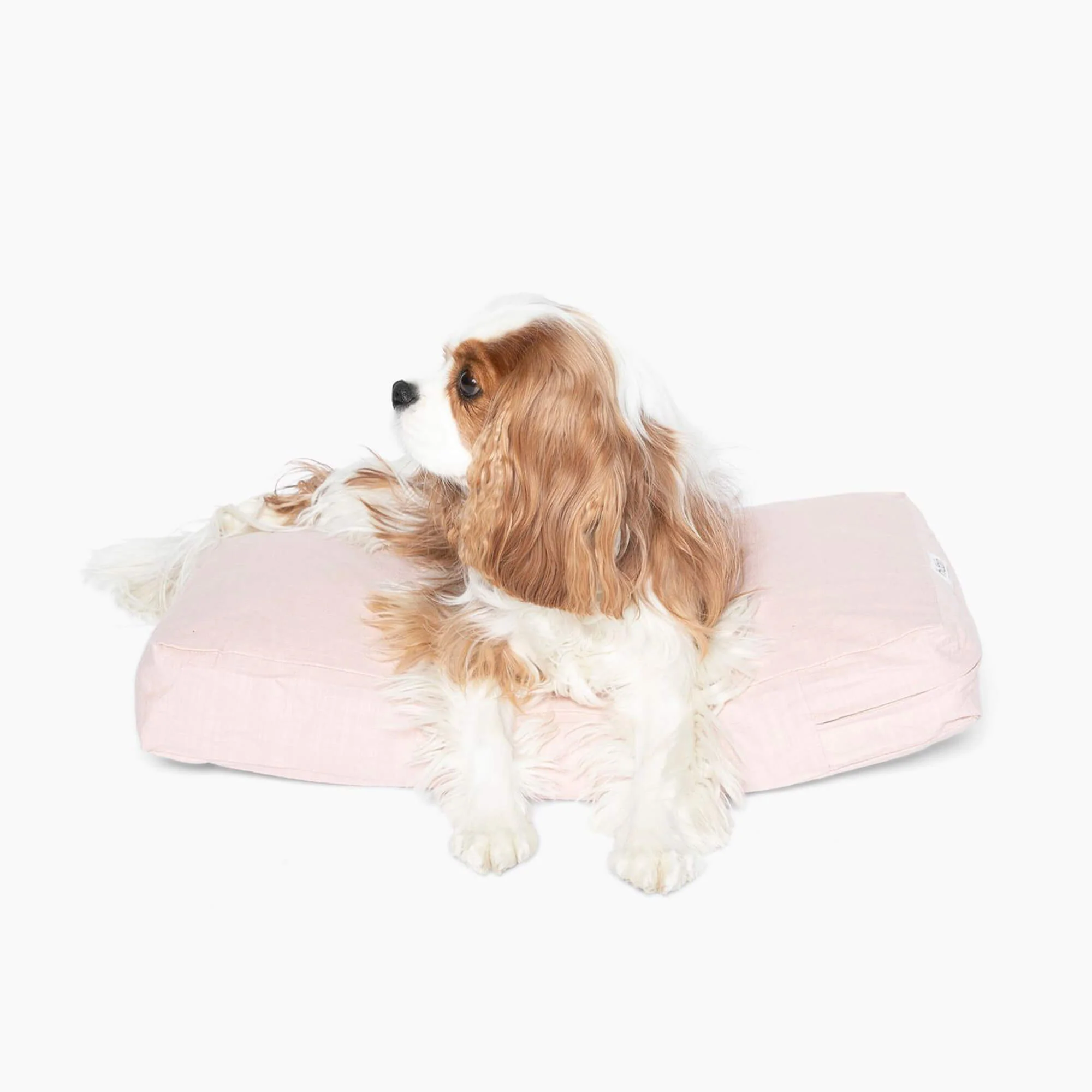 Hiddin Pet Cushion - Image 10