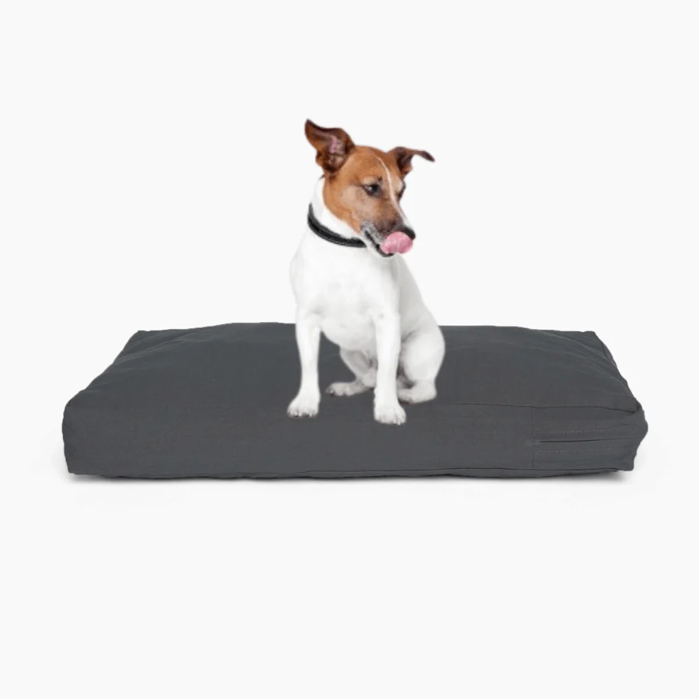 Hiddin Pet Cushion - Image 6