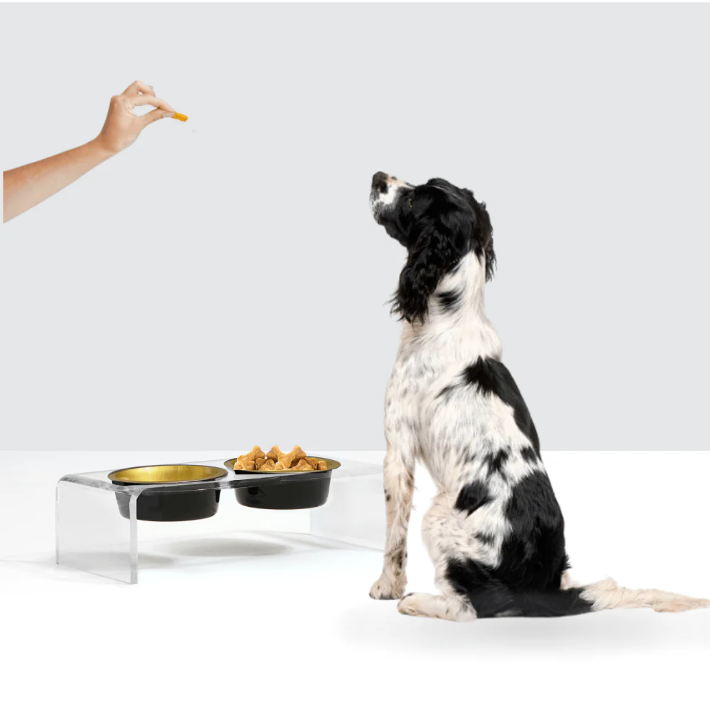 Glam Feeder - Image 7