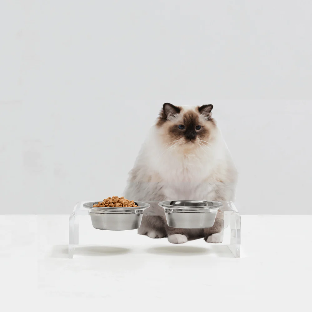 Small Silver Feeder - Image 11