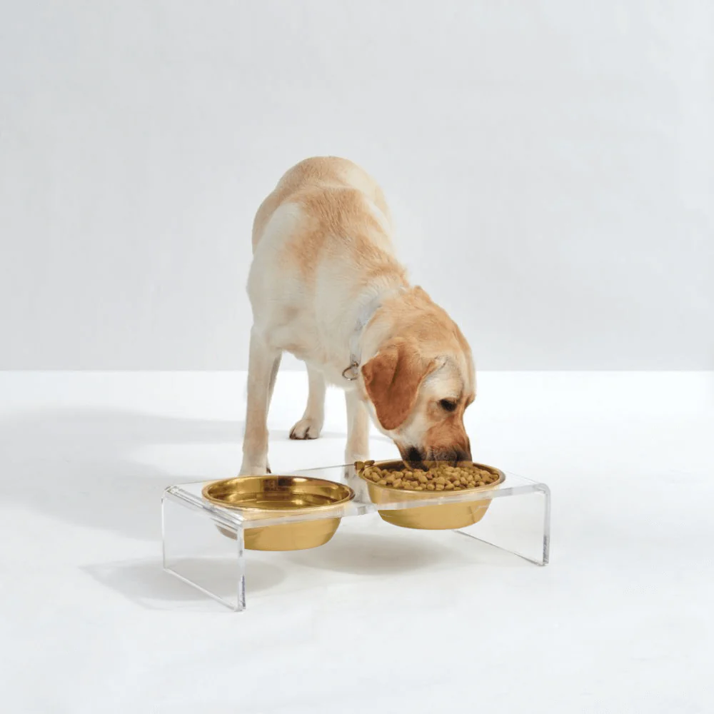 Small Gold Feeder - Image 15