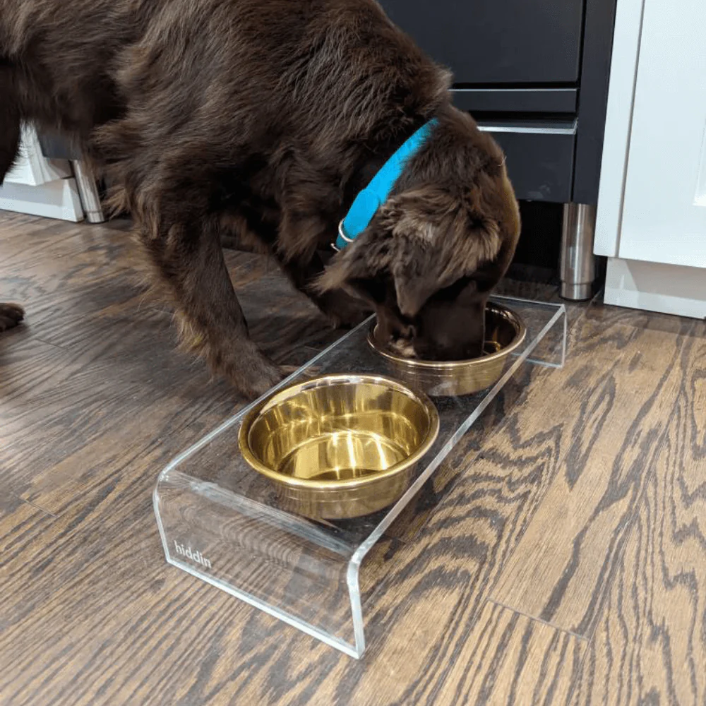 Small Gold Feeder - Image 19