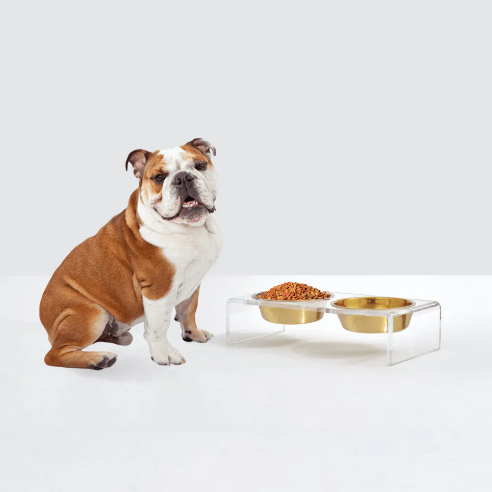 Small Gold Feeder - Image 3