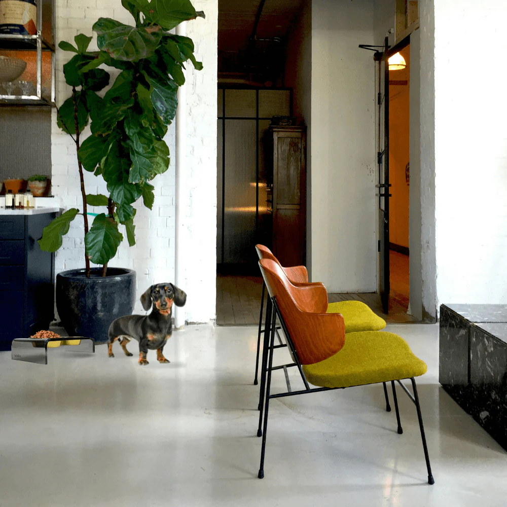 Small Smoke Grey Feeder - Image 8