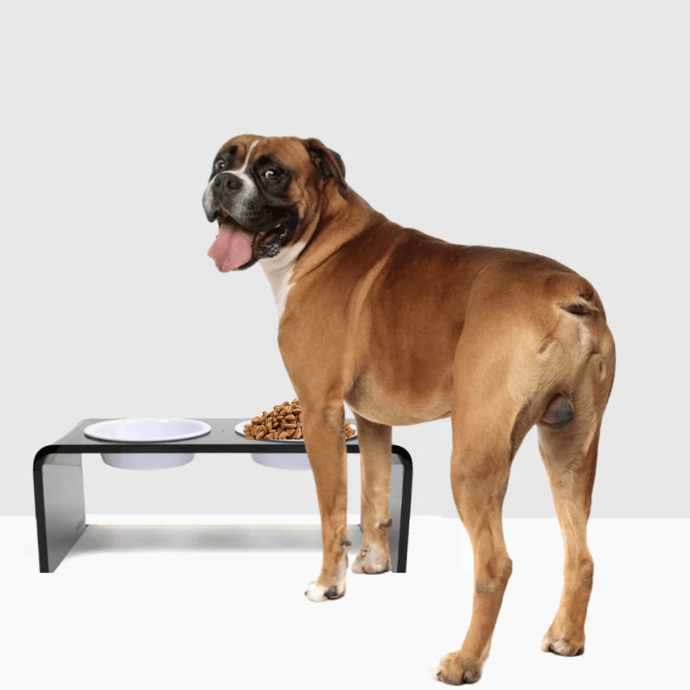 Medium Smoke Grey Feeder - Image 19