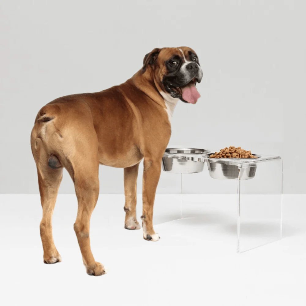 Tall Silver Double Feeder - Image 4