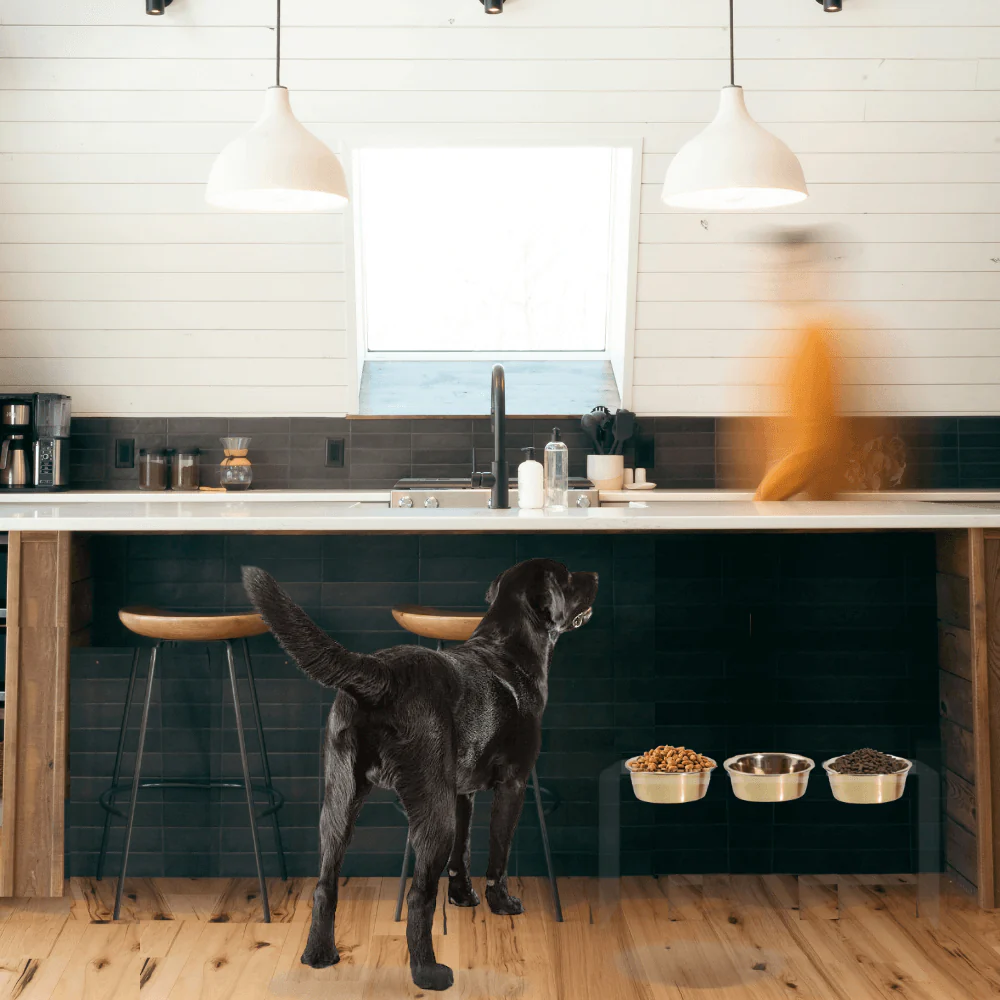 Tall Triple Gold Feeder - Image 8