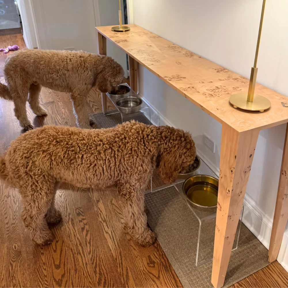 Tall Gold Double Feeder - Image 14