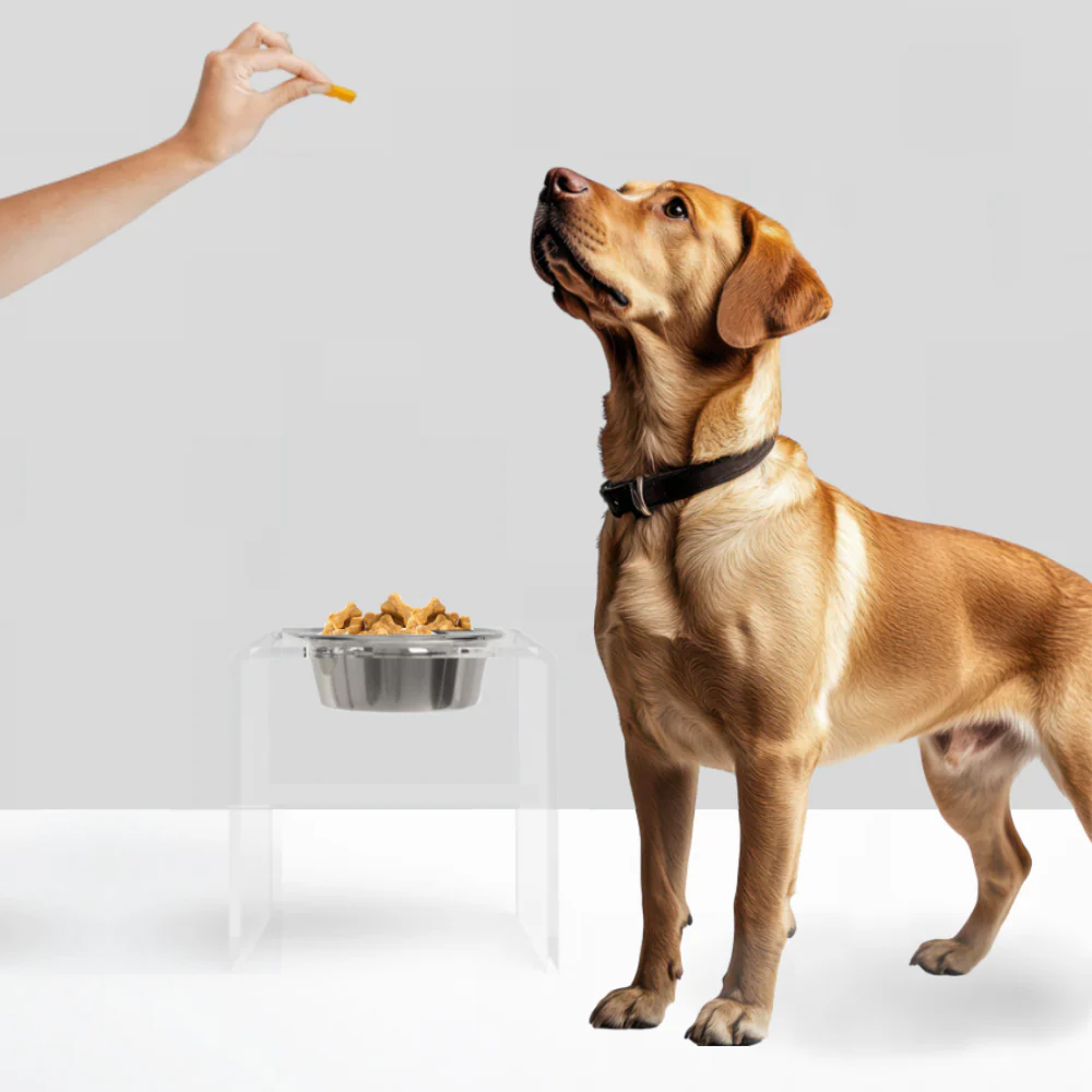 Single Tall Silver Feeder - Image 4